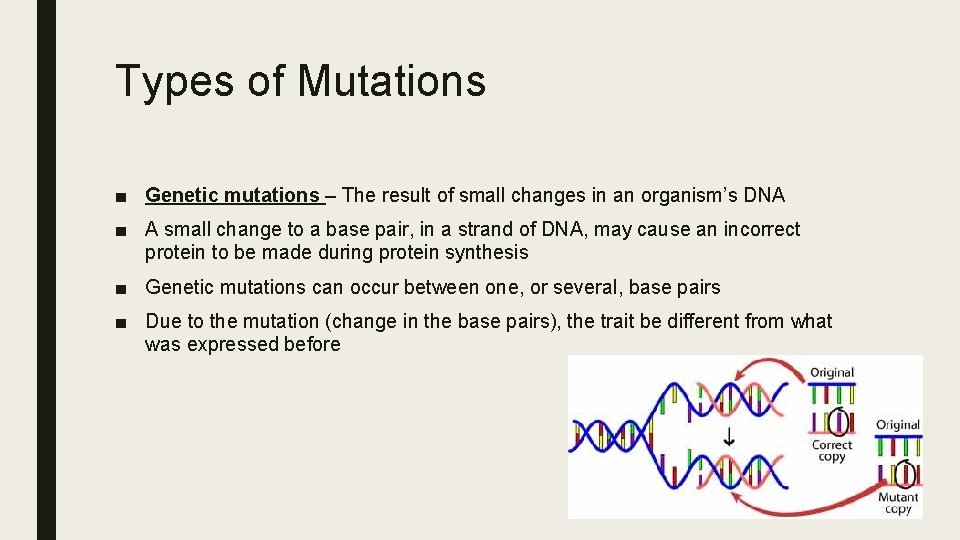 Types of Mutations ■ Genetic mutations – The result of small changes in an