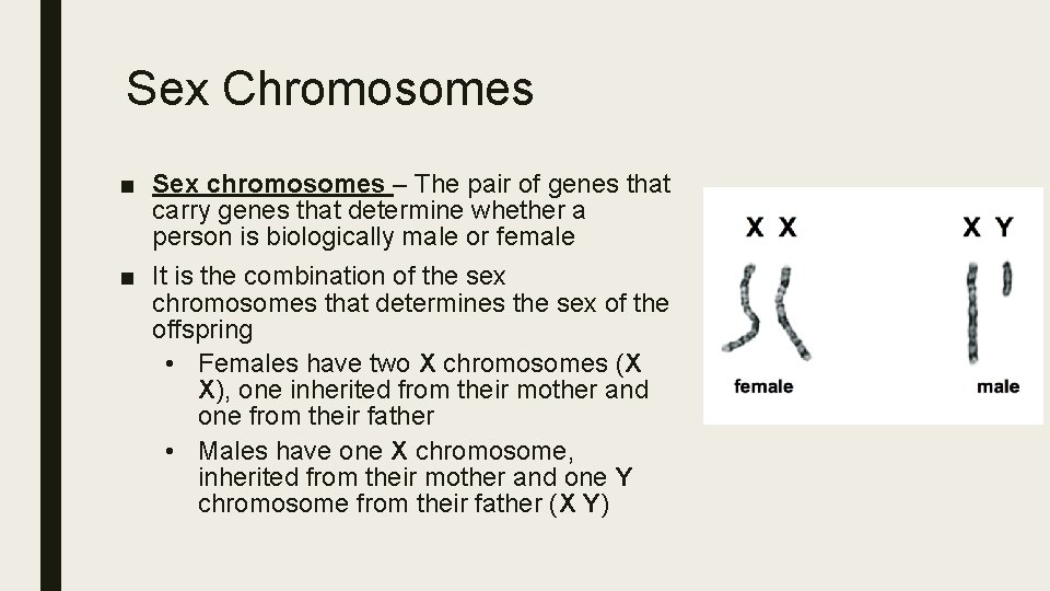 Sex Chromosomes ■ Sex chromosomes – The pair of genes that carry genes that