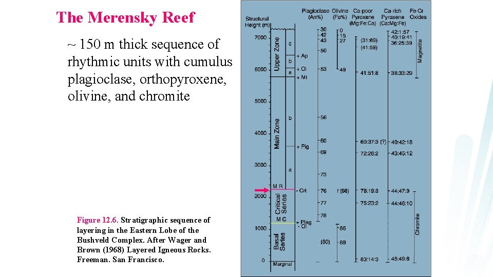 The Merensky Reef ~ 150 m thick sequence of rhythmic units with cumulus plagioclase,