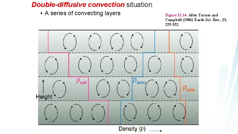 Double-diffusive convection situation • A series of convecting layers Figure 12. 14. After Turner