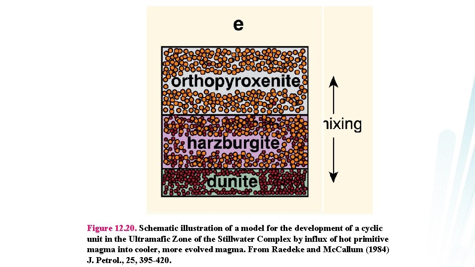 Figure 12. 20. Schematic illustration of a model for the development of a cyclic