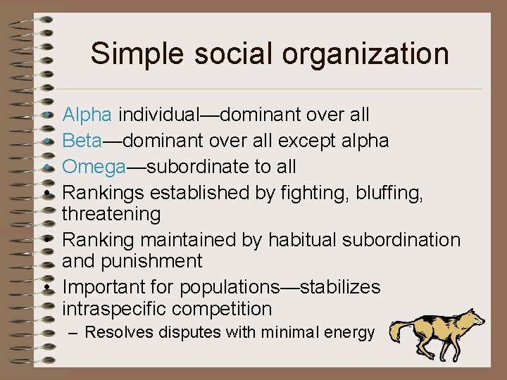 Simple social organization • • Alpha individual—dominant over all Beta—dominant over all except alpha