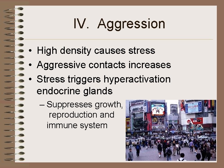 IV. Aggression • High density causes stress • Aggressive contacts increases • Stress triggers