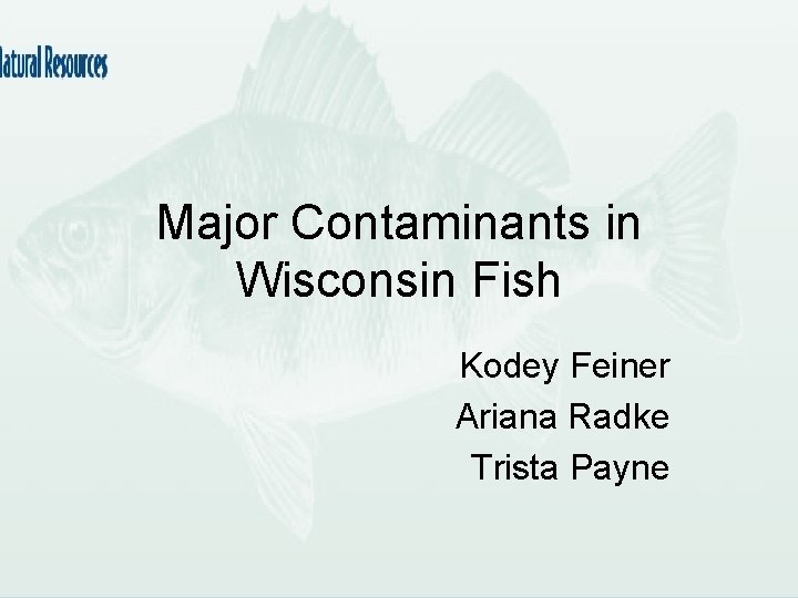 Major Contaminants in Wisconsin Fish Kodey Feiner Ariana Radke Trista Payne 