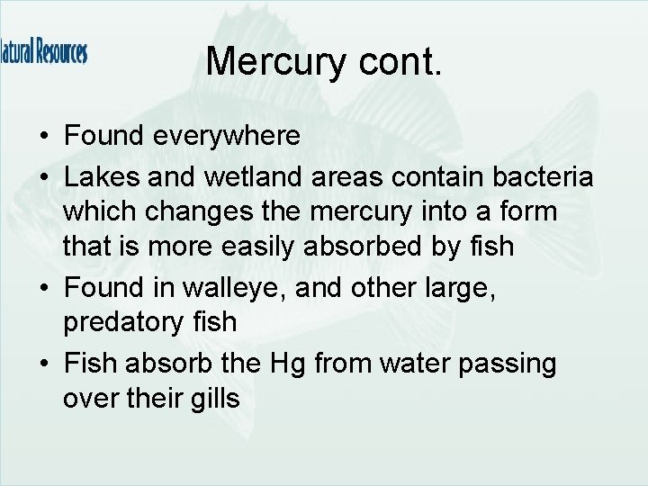 Mercury cont. • Found everywhere • Lakes and wetland areas contain bacteria which changes