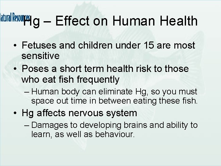 Hg – Effect on Human Health • Fetuses and children under 15 are most