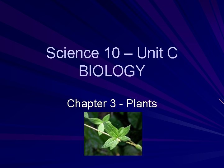 Science 10 – Unit C BIOLOGY Chapter 3 - Plants 
