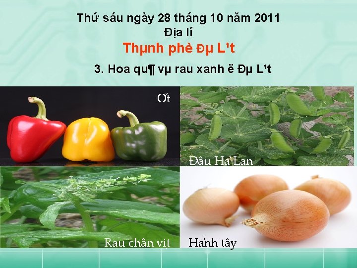 Thứ sáu ngày 28 tháng 10 năm 2011 Địa lí Thµnh phè Đµ L¹t