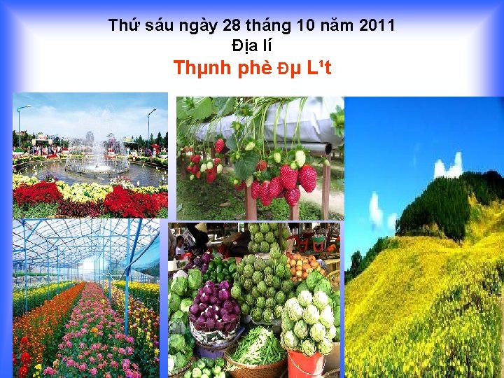 Thứ sáu ngày 28 tháng 10 năm 2011 Địa lí Thµnh phè Đµ L¹t