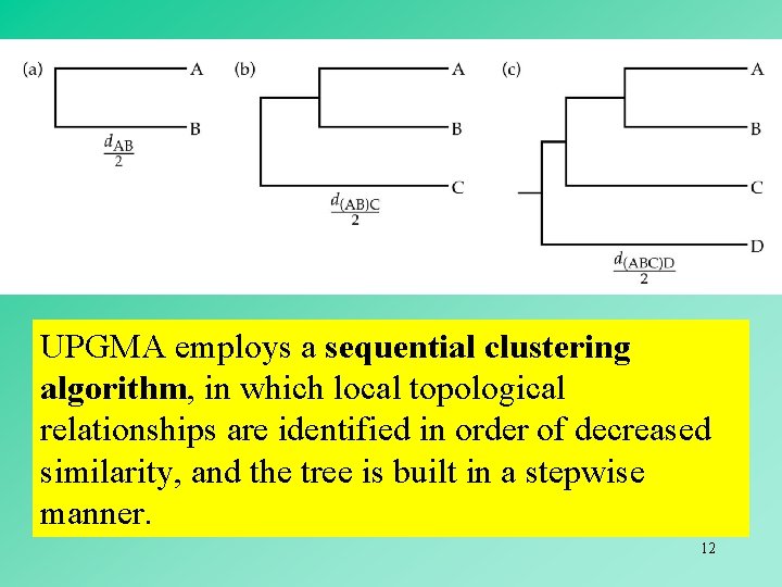 UPGMA employs a sequential clustering algorithm, in which local topological relationships are identified in