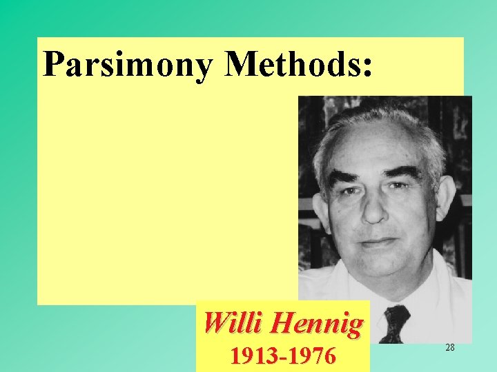 Parsimony Methods: Willi Hennig 1913 -1976 28 