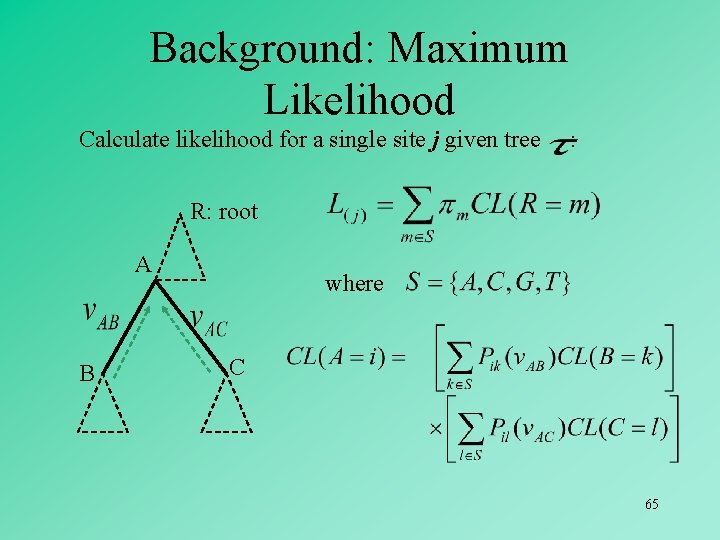 Background: Maximum Likelihood Calculate likelihood for a single site j given tree : R: