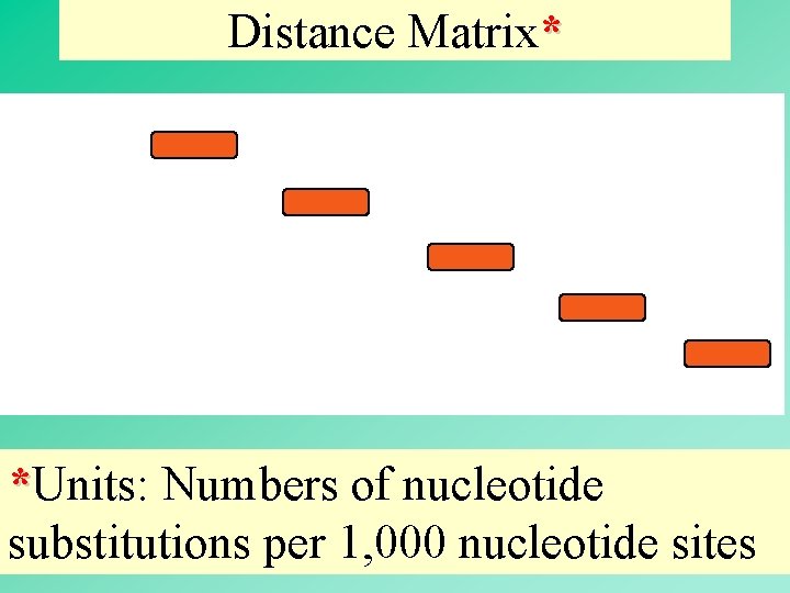 Distance Matrix* *Units: Numbers of nucleotide substitutions per 1, 000 nucleotide sites 9 