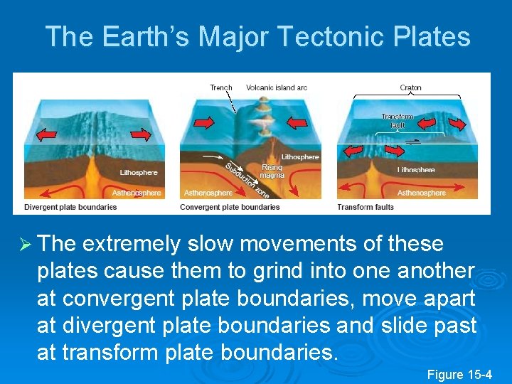 The Earth’s Major Tectonic Plates Ø The extremely slow movements of these plates cause