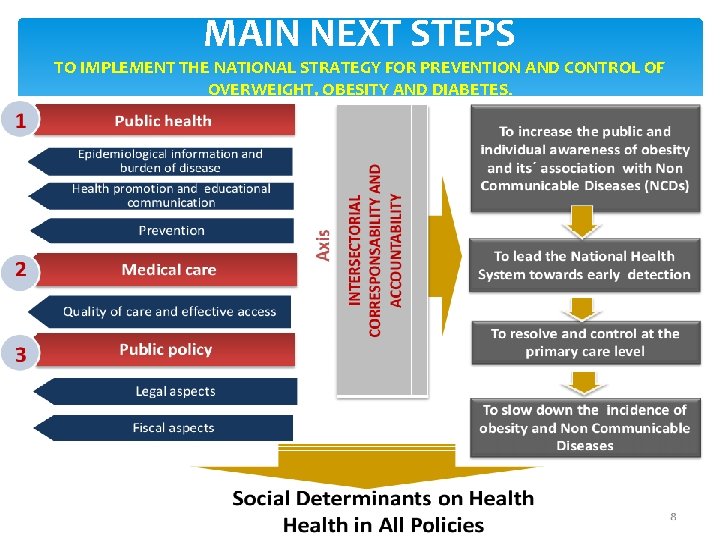 MAIN NEXT STEPS TO IMPLEMENT THE NATIONAL STRATEGY FOR PREVENTION AND CONTROL OF OVERWEIGHT,