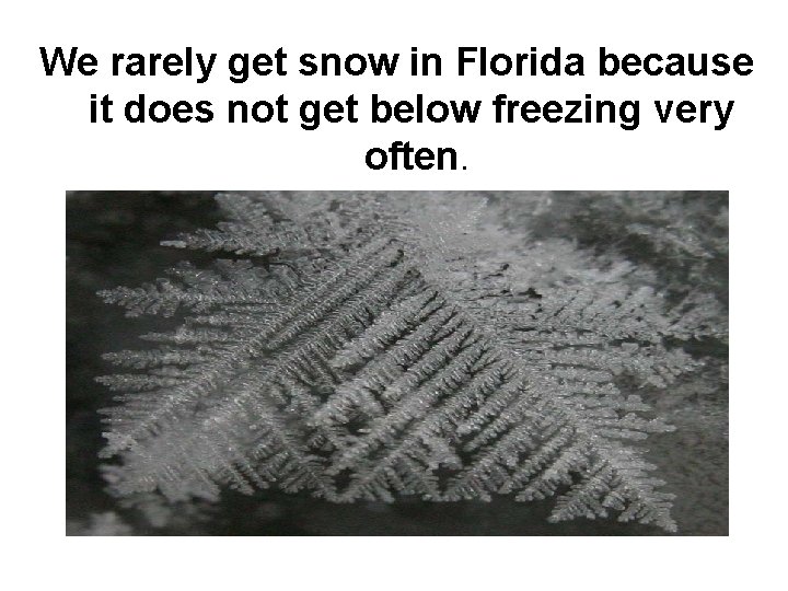 We rarely get snow in Florida because it does not get below freezing very