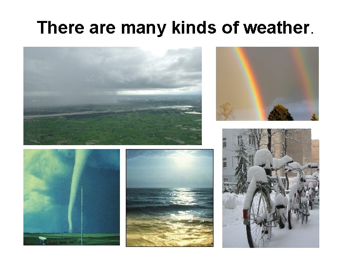 There are many kinds of weather. 
