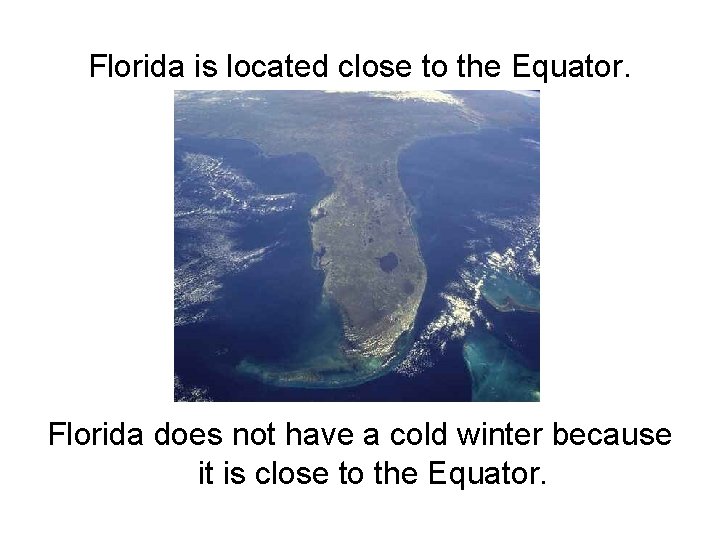 Florida is located close to the Equator. Florida does not have a cold winter