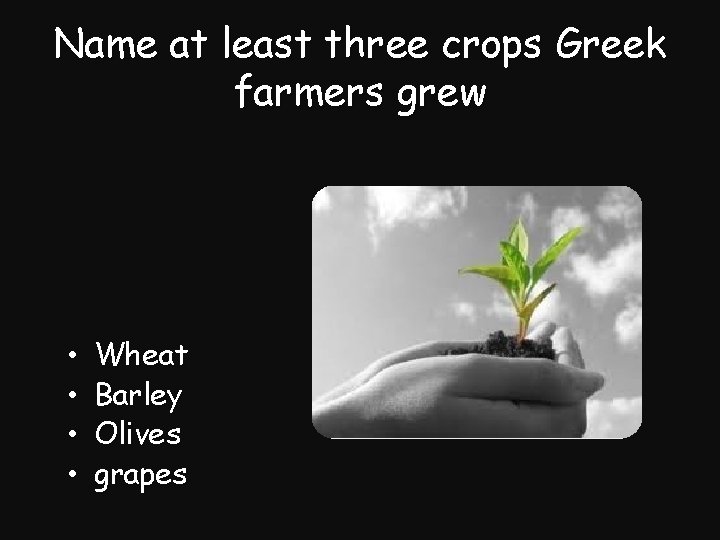 Name at least three crops Greek farmers grew • • Wheat Barley Olives grapes