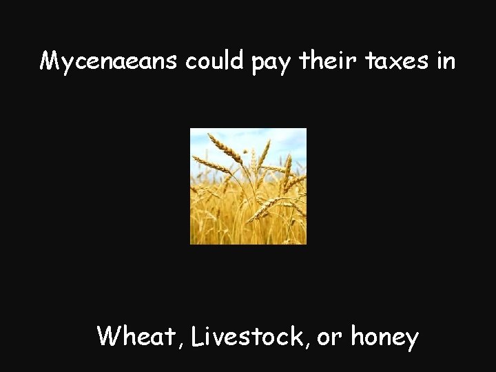 Mycenaeans could pay their taxes in Wheat, Livestock, or honey 