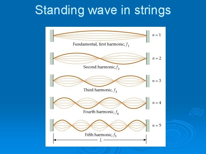 Standing wave in strings 