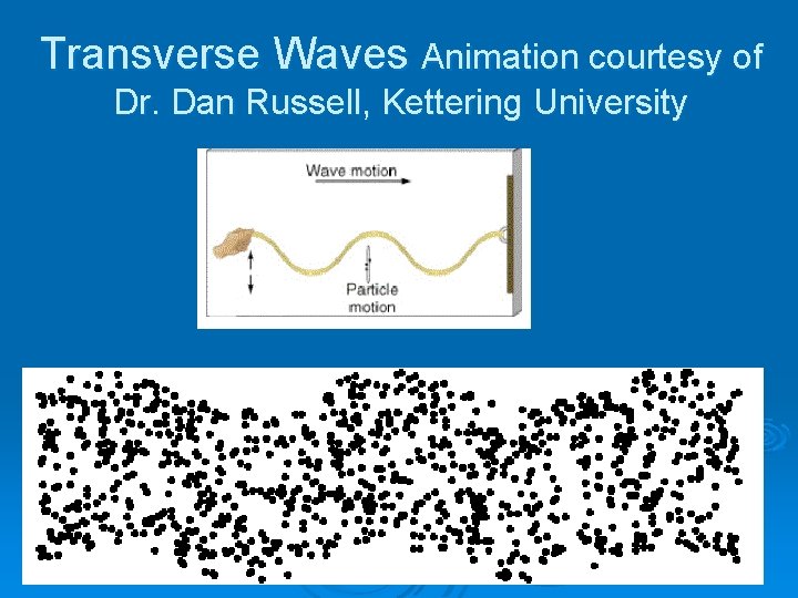 Transverse Waves Animation courtesy of Dr. Dan Russell, Kettering University 