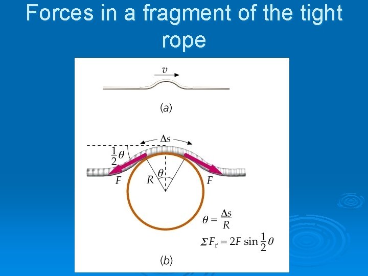 Forces in a fragment of the tight rope 