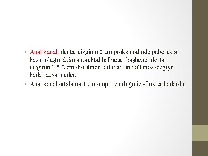 • Anal kanal, dentat çizginin 2 cm proksimalinde puborektal kasın oluşturduğu anorektal halkadan • Anal kanal, dentat çizginin 2 cm proksimalinde puborektal kasın oluşturduğu anorektal halkadan