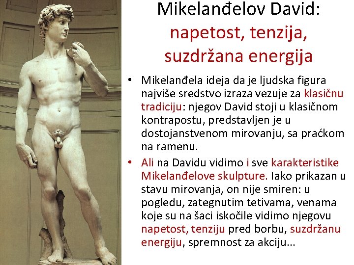 Mikelanđelov David: napetost, tenzija, suzdržana energija • Mikelanđela ideja da je ljudska figura najviše