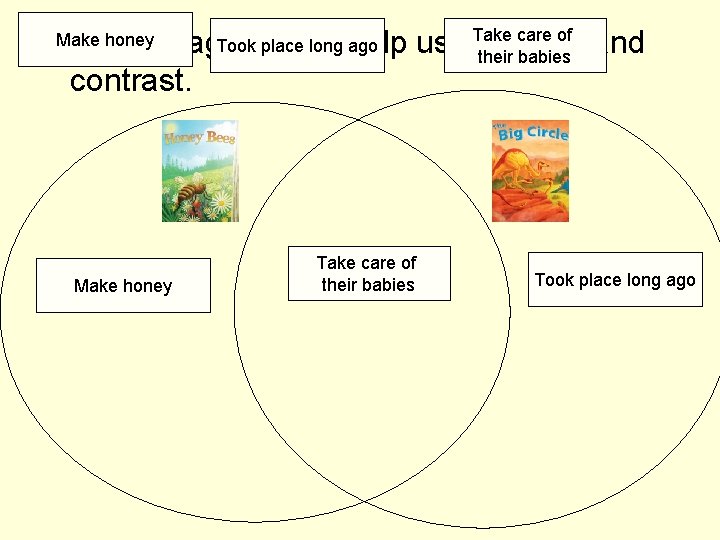 Take care of honey Diagram Took place long help ago AMake Venn can us