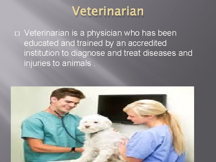 Veterinarian � Veterinarian is a physician who has been educated and trained by an