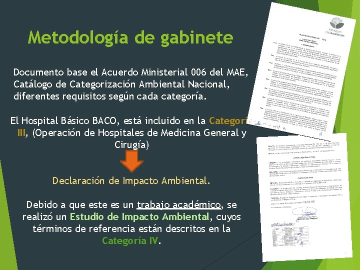 Metodología de gabinete Documento base el Acuerdo Ministerial 006 del MAE, Catálogo de Categorización