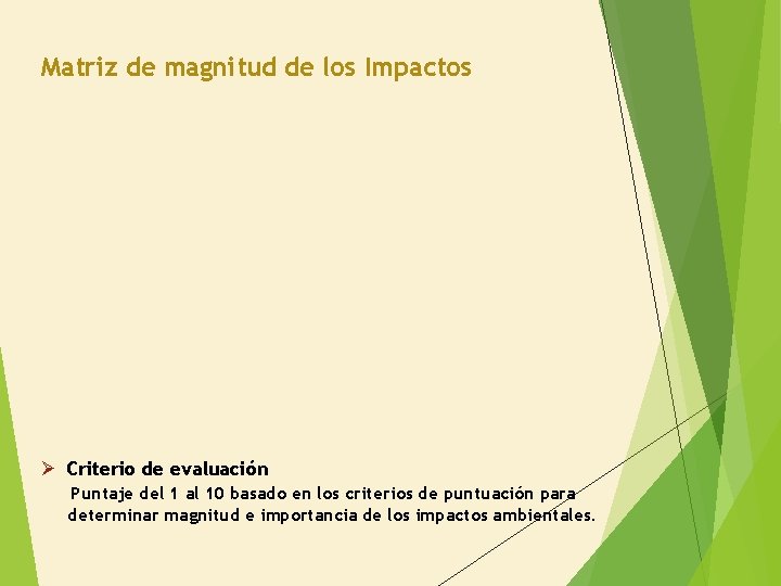 Matriz de magnitud de los Impactos Ø Criterio de evaluación Puntaje del 1 al