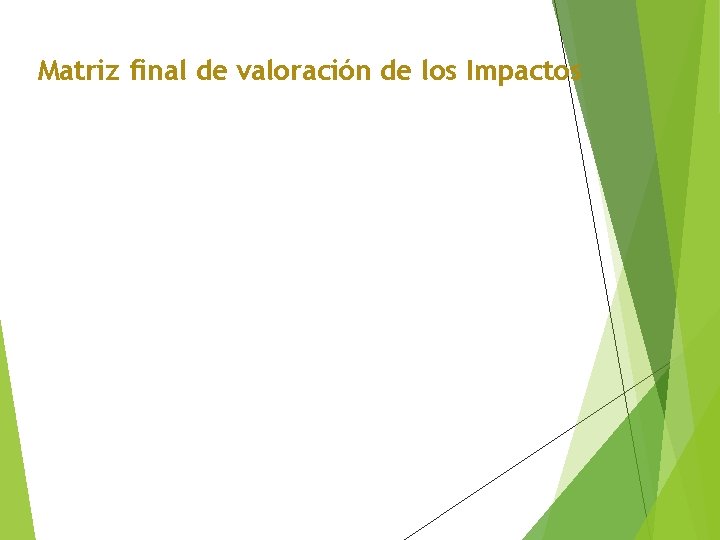 Matriz final de valoración de los Impactos 