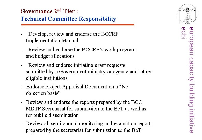 Governance 2 nd Tier : Technical Committee Responsibility Develop, review and endorse the BCCRF
