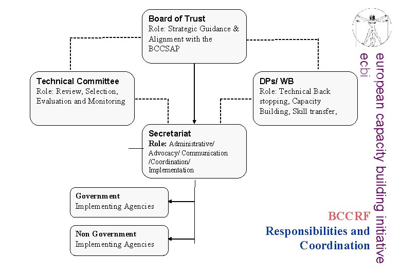 Board of Trust Role: Strategic Guidance & Alignment with the BCCSAP DPs/ WB Role: