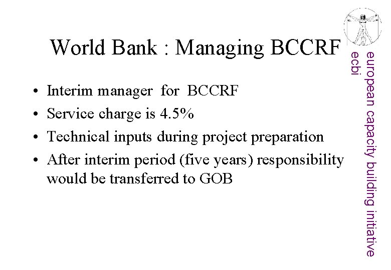 • • Interim manager for BCCRF Service charge is 4. 5% Technical inputs
