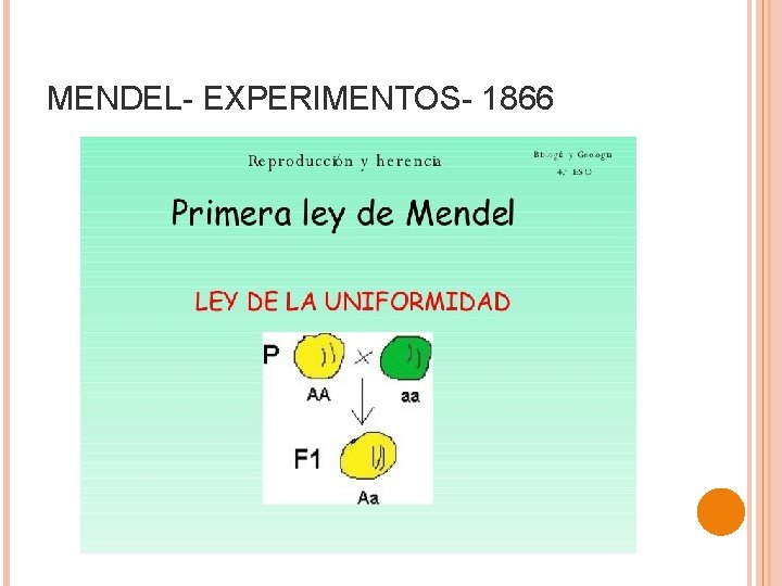MENDEL- EXPERIMENTOS- 1866 