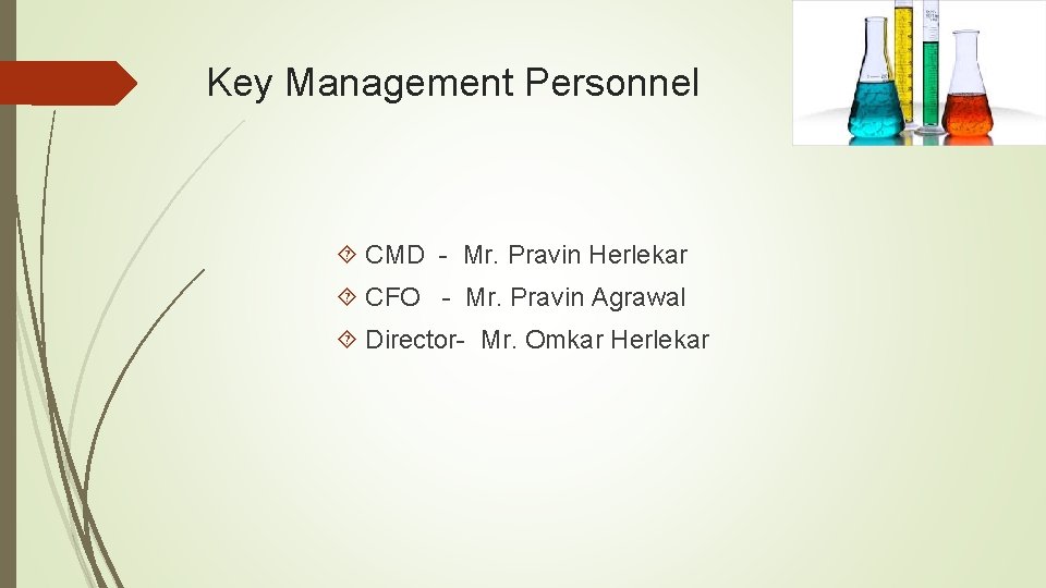 Key Management Personnel CMD - Mr. Pravin Herlekar CFO - Mr. Pravin Agrawal Director-