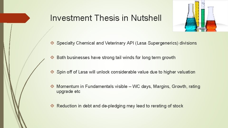 Investment Thesis in Nutshell Specialty Chemical and Veterinary API (Lasa Supergenerics) divisions Both businesses