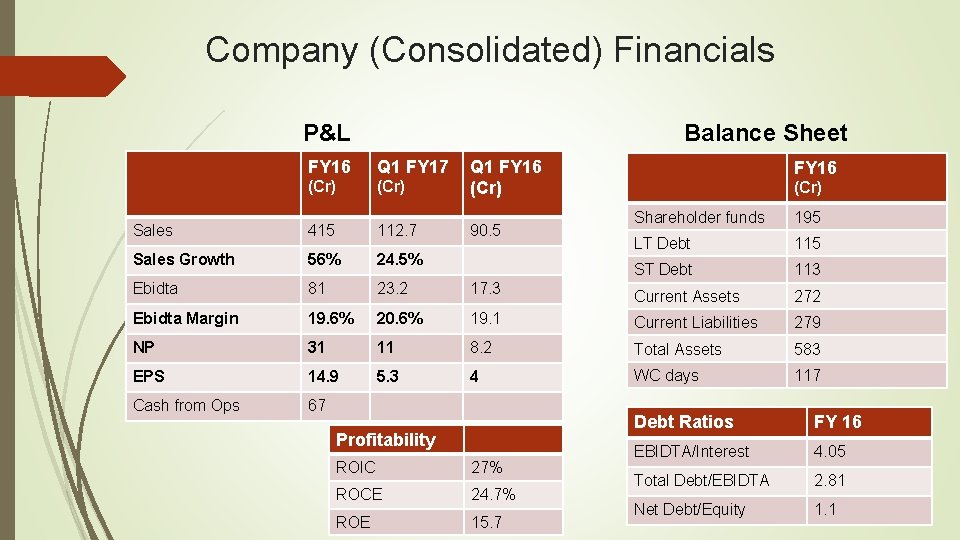 Company (Consolidated) Financials P&L Balance Sheet FY 16 Q 1 FY 17 (Cr) Q