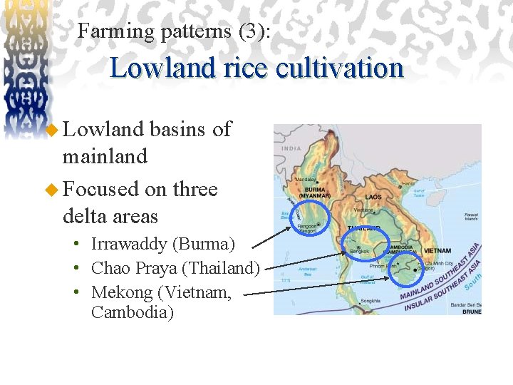 Farming patterns (3): Lowland rice cultivation u Lowland basins of mainland u Focused on