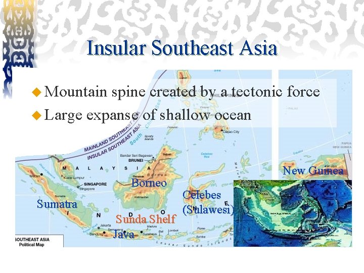 Insular Southeast Asia u Mountain spine created by a tectonic force u Large expanse