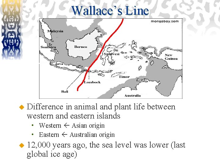 Wallace’s Line u Difference in animal and plant life between western and eastern islands