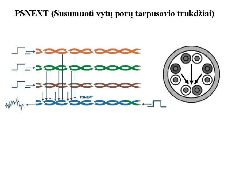 PSNEXT (Susumuoti vytų porų tarpusavio trukdžiai) 