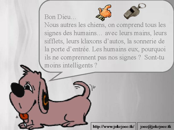 Bon Dieu… Nous autres les chiens, on comprend tous les signes des humains… avec