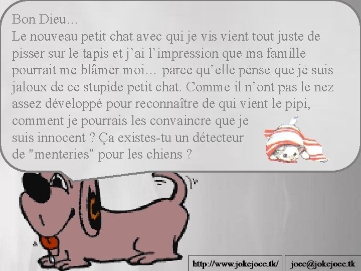 Bon Dieu… Le nouveau petit chat avec qui je vis vient tout juste de