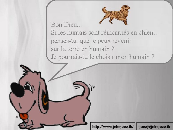 Bon Dieu. . . Si les humais sont réincarnés en chien… penses-tu, que je