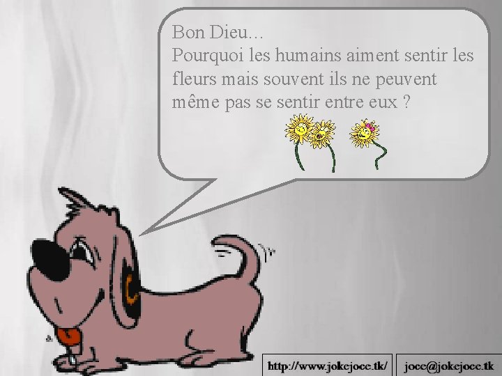 Bon Dieu… Pourquoi les humains aiment sentir les fleurs mais souvent ils ne peuvent