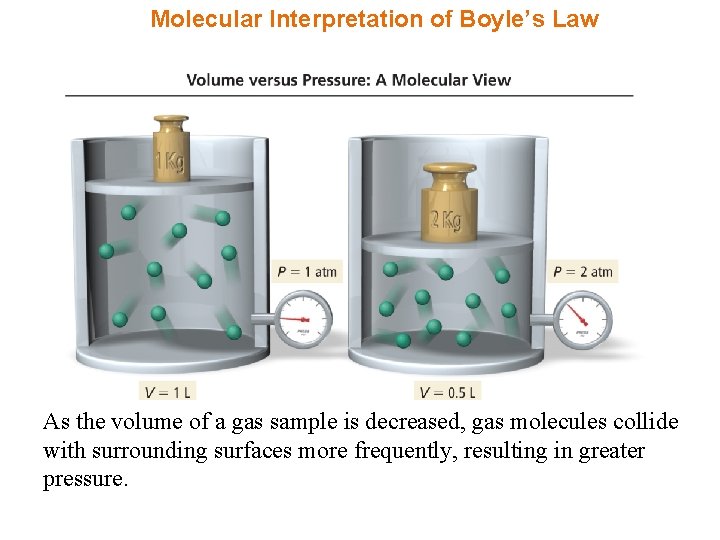 Molecular Interpretation of Boyle’s Law As the volume of a gas sample is decreased,